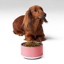 Pet bowl