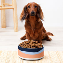Pet bowl
