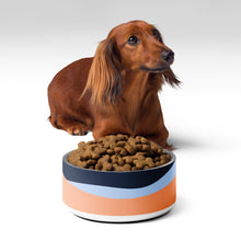 Pet bowl