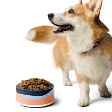 Pet bowl