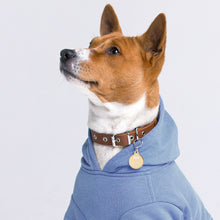 Engraved pet ID tag