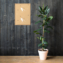 Framed matte paper poster